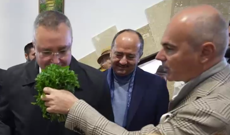 VIDEO. Nicolae Ciucă și Rareș Bogdan au mers la cumpărături în piață: Niște pătrunjel, domn' președinte, ia uitați ce miros are