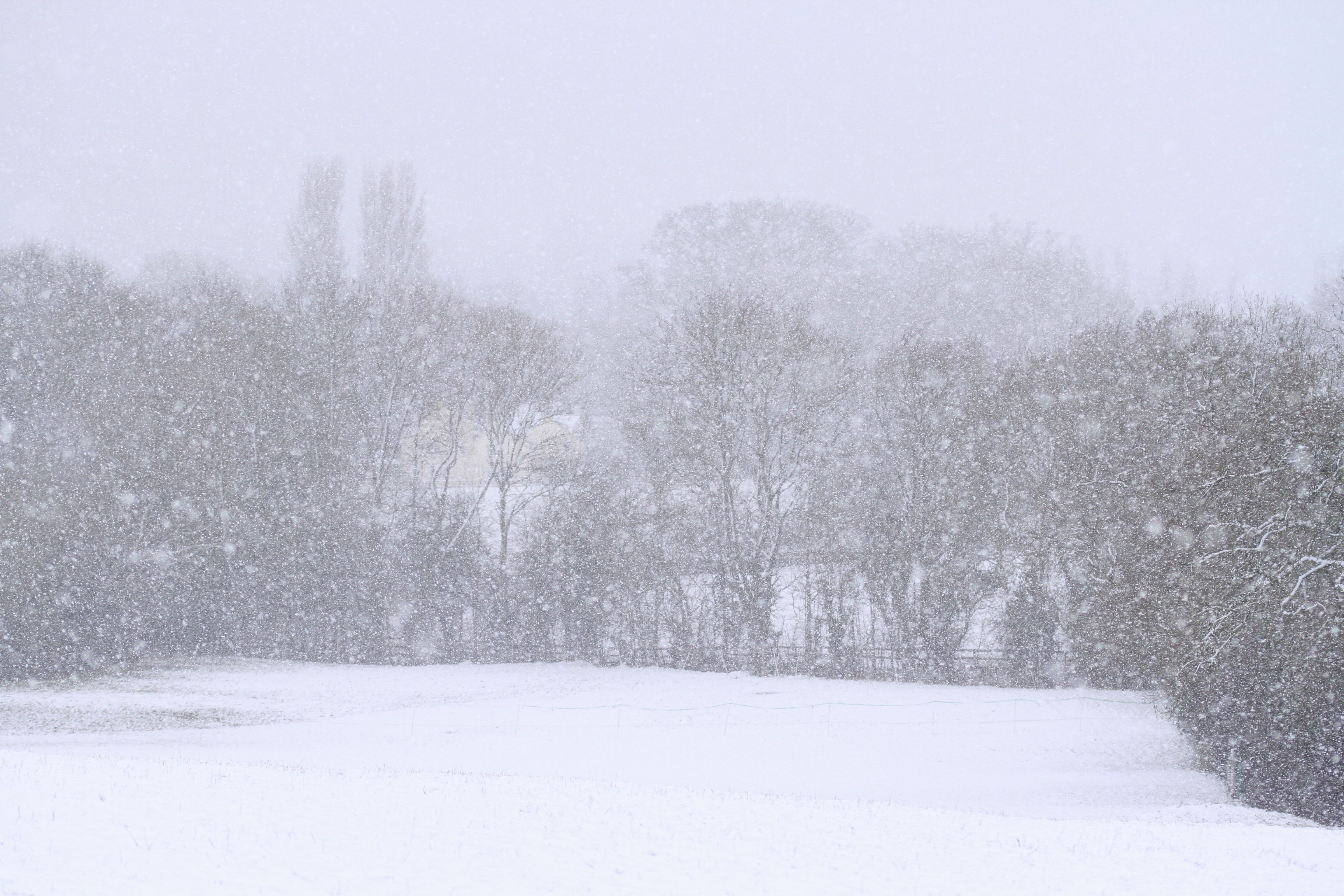 Vin primele ninsori. Prognoza meteo pe următoarele 7 zile
