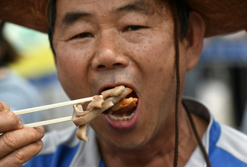 fermier din coreea de sud care consumă carne de câine