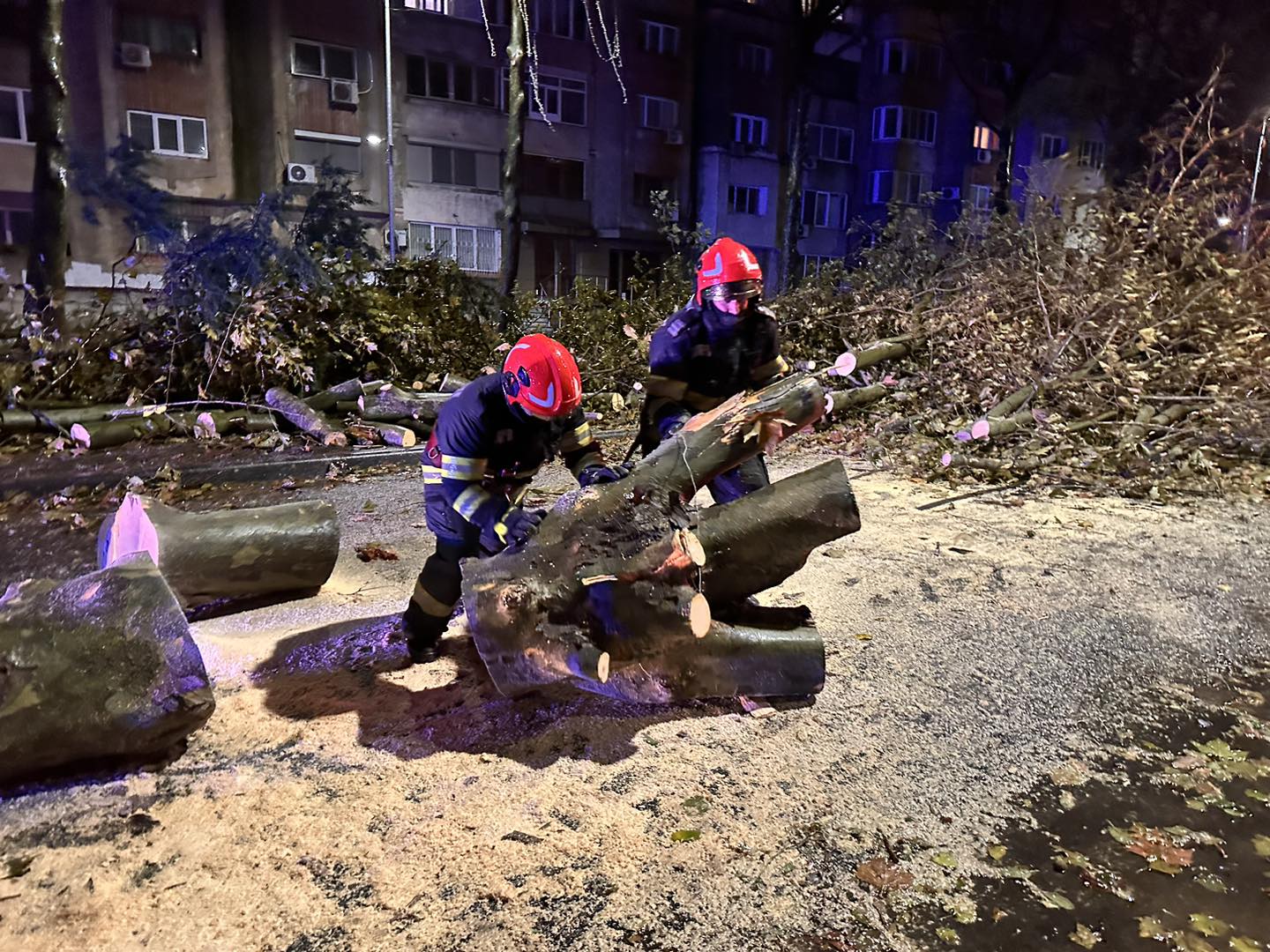 Peisaj dezolant pe litoral după furtună. Jumătate dintre copacii doborâți de rafale nu au fost strânși