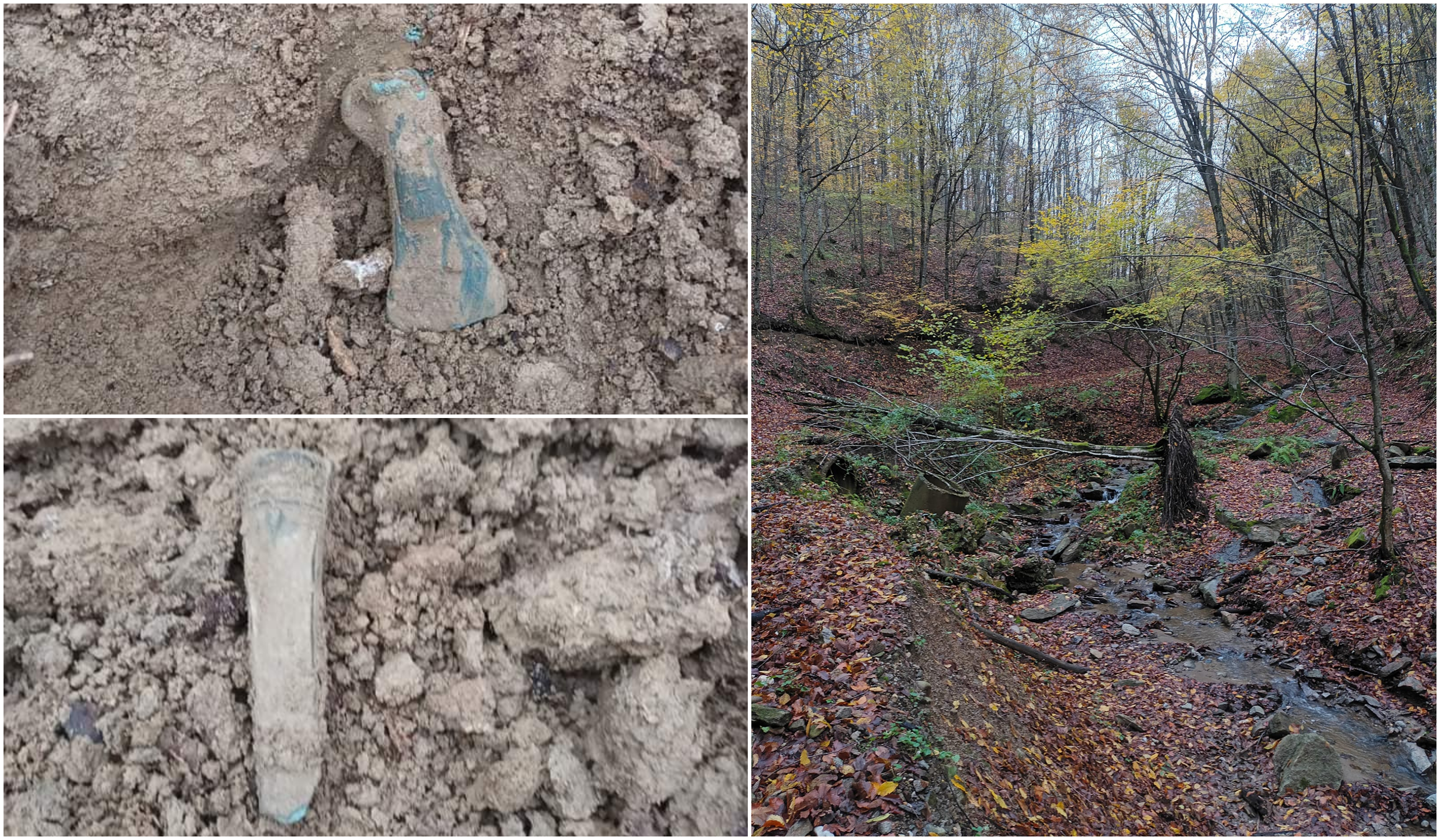 Comoară istorică găsită într-o pădure din Bihor: topoare și o lamă de cuțit, vechi de 3.000 de ani. "Nu doresc nicio recompensă"