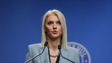 alina gorghiu face declaratii intr-o sedinta de guvern