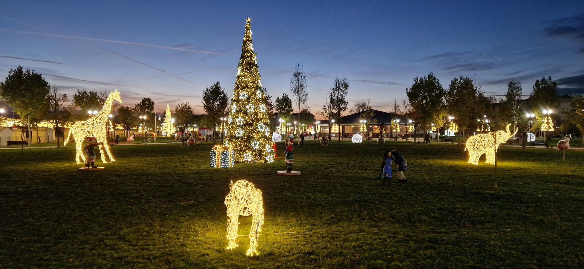 Decorațiuni neobișnuite în Slatina. Primăria a amenajat un adevărat safari cu girafe, elefanți și lei pe lângă bradul de Crăciun