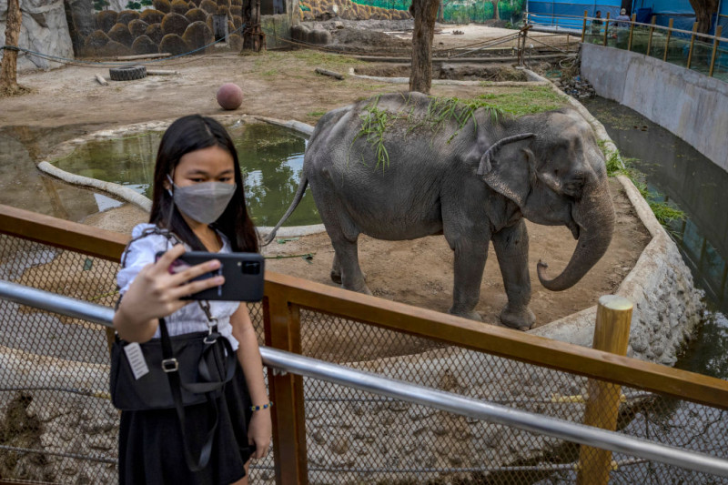 Children And Youths Receive Vaccinations At Zoo