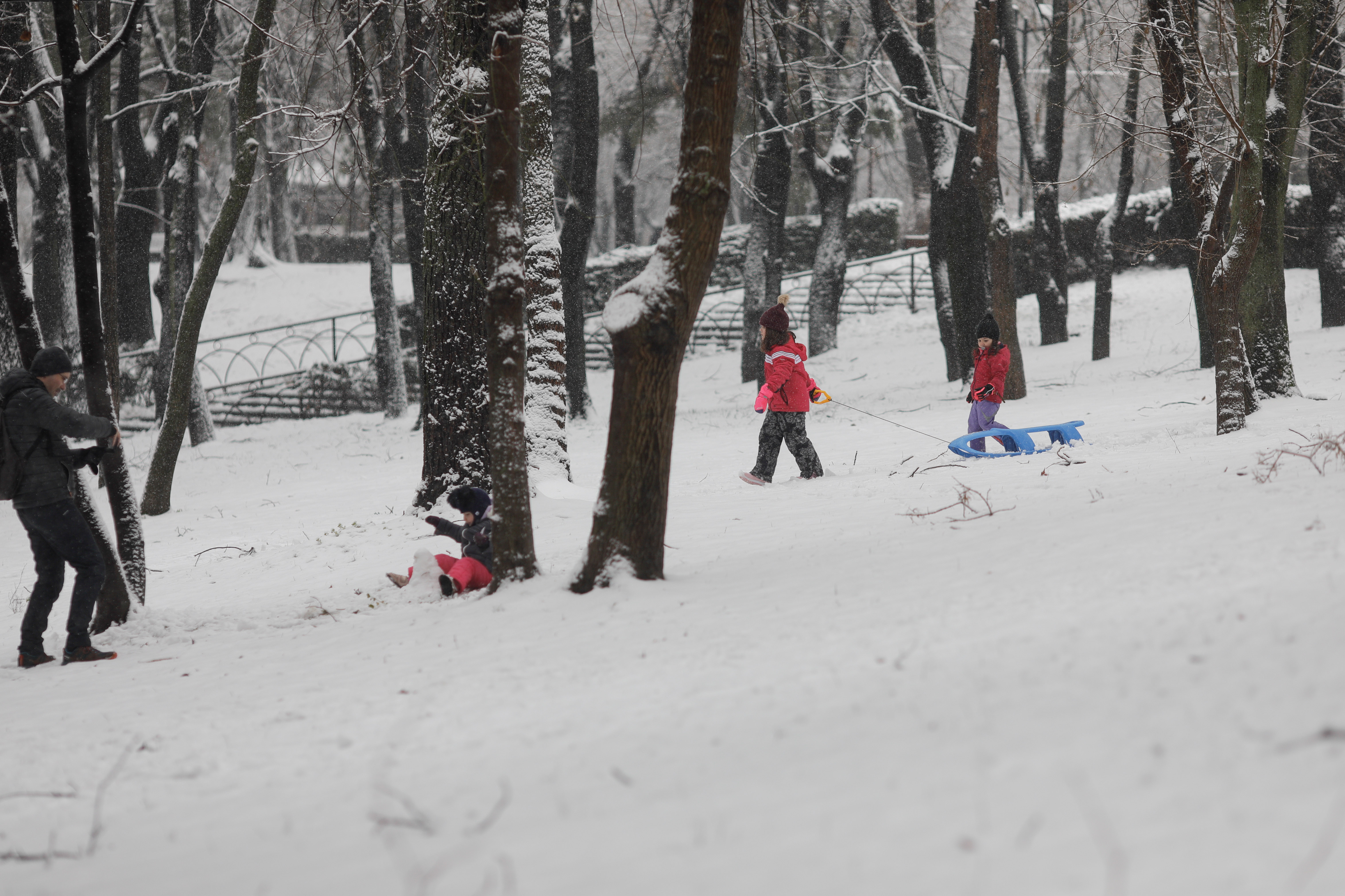 Vin ninsorile în București. Meteorologii au emis prognoza specială pentru Capitală