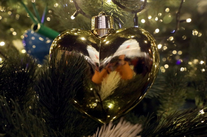 Lighting of main Christmas tree of Ukraine in Kyiv