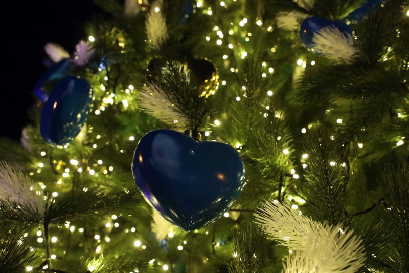 Lighting of main Christmas tree of Ukraine in Kyiv