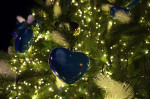 Lighting of main Christmas tree of Ukraine in Kyiv