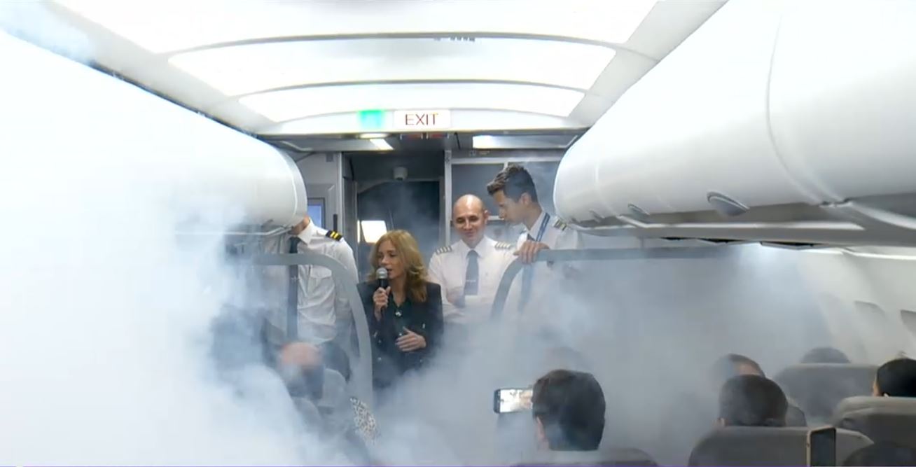 VIDEO Frica de zbor poate fi tratată într-un avion-simulator. Cum decurge un curs cu turbulențe și aterizări de urgență