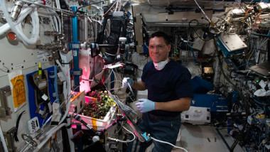 Astronautul Frank Rubio verifică roșiile de pe Stația Spațială Internațională.