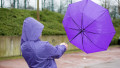 femeie cu o umbrela