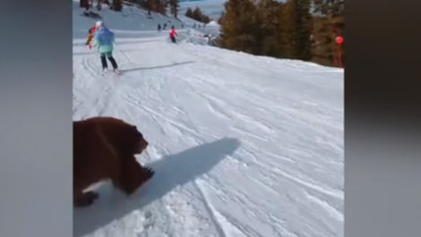 Un schior a fost cât pe ce să lovească un urs pe o pârtie de lângă lacul Tahoe din California.