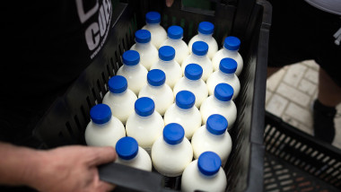 distributie lapte