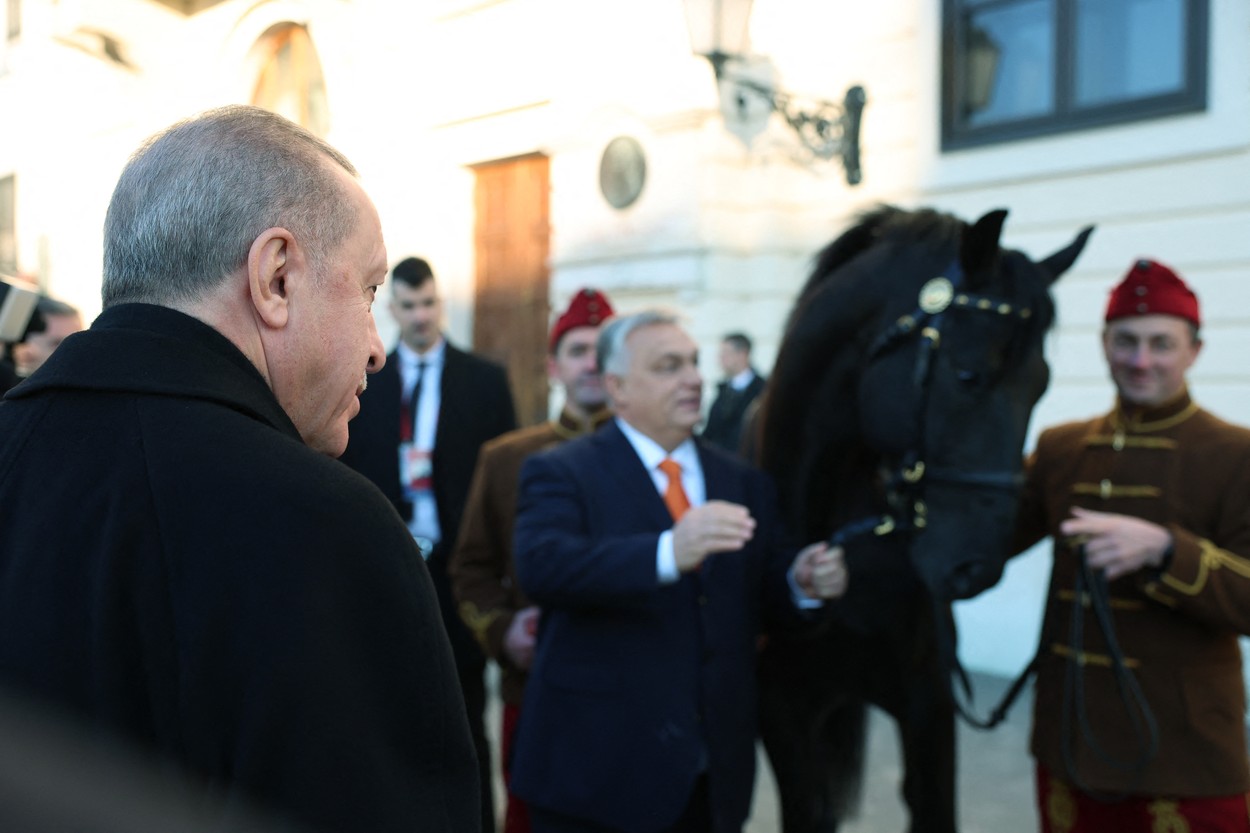 Orban i-a dăruit lui Erdogan un cal de rasă nărăvaș. Președintele turc nu s-a mai apropiat 14 ani de cai după ce a fost aruncat din șa