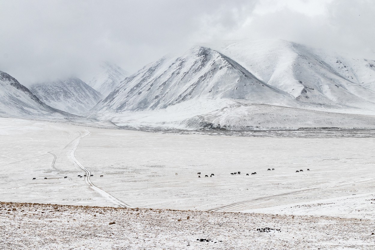 Un val de ger a lovit Mongolia. Temperaturile au scăzut până la aproape minus 50 de grade Celsius
