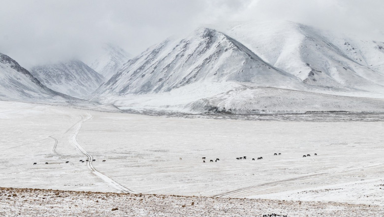 peisaj de iarna in mongolia