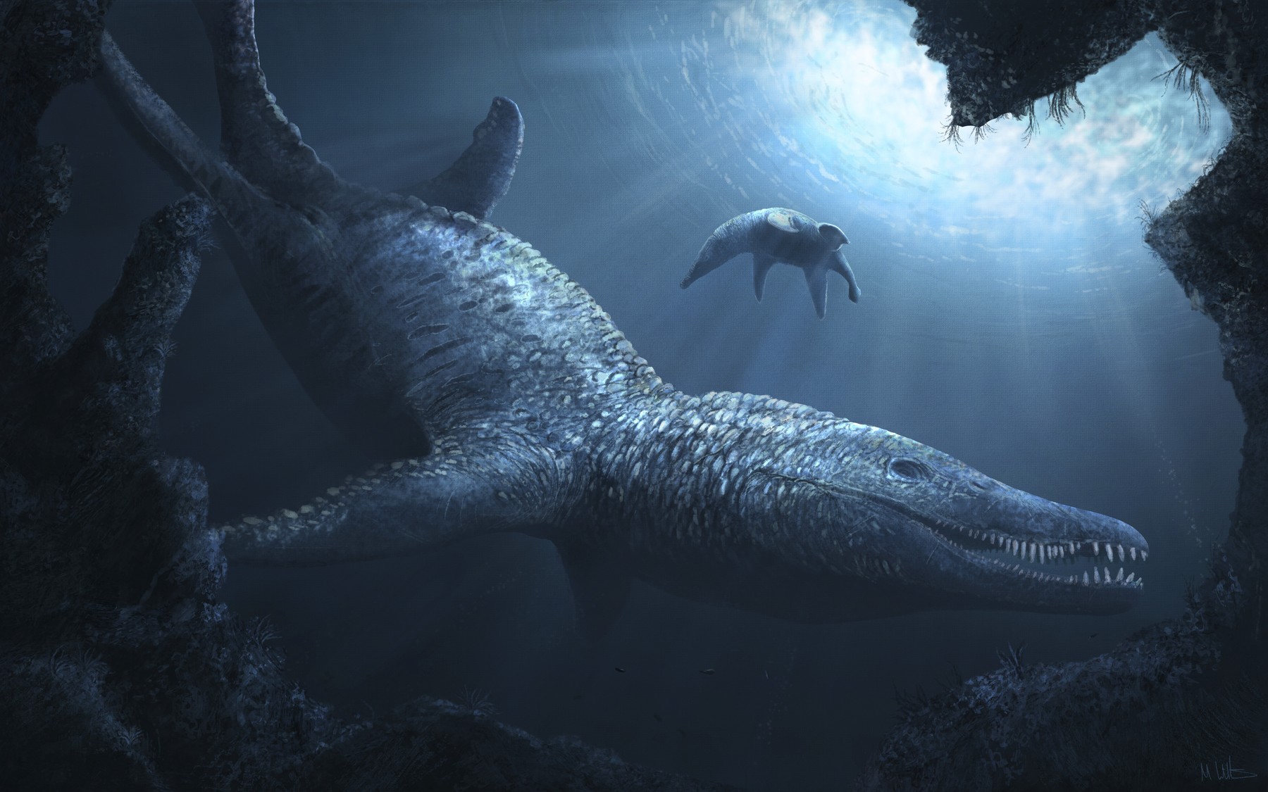 Craniul unui monstru marin uriaș a fost descoperit în sud-vestul Angliei. Acest „T-Rex subacvatic” era prădătorul suprem al oceanelor