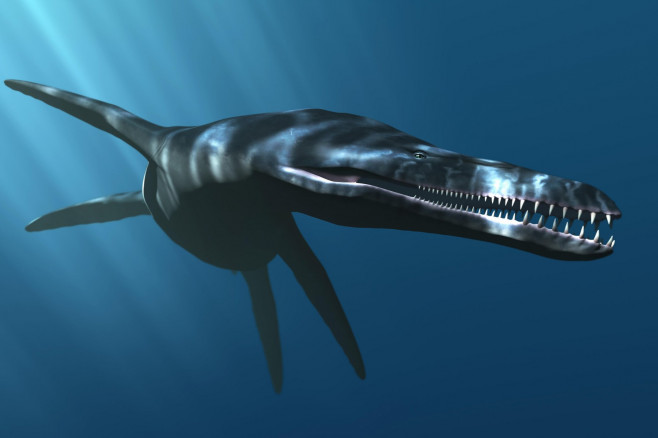 Pliosaurus macromerus