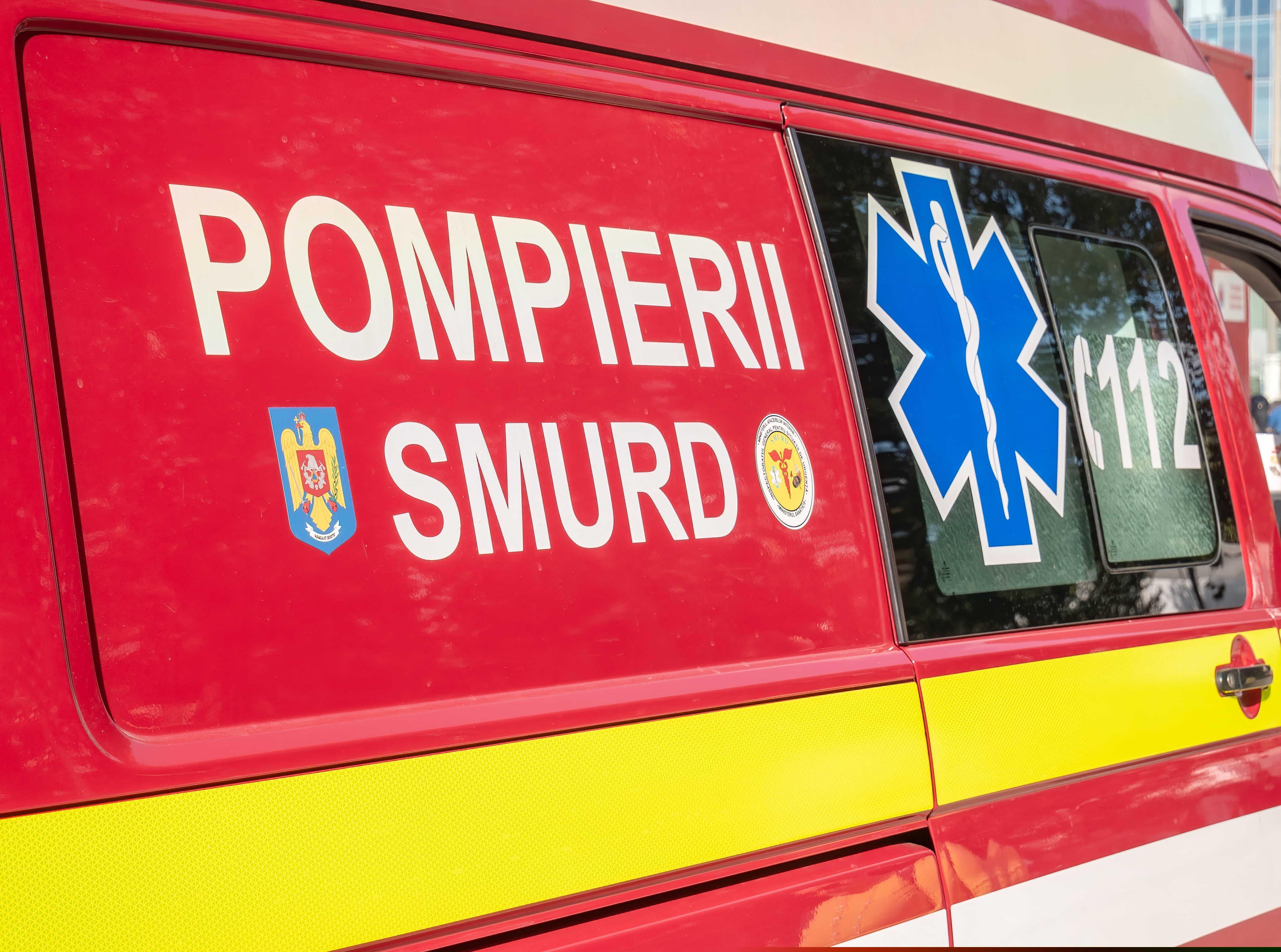 Un tânăr de 20 de ani a murit după ce a căzut dintr-un copac, în Iași. A fost strivit de o creangă