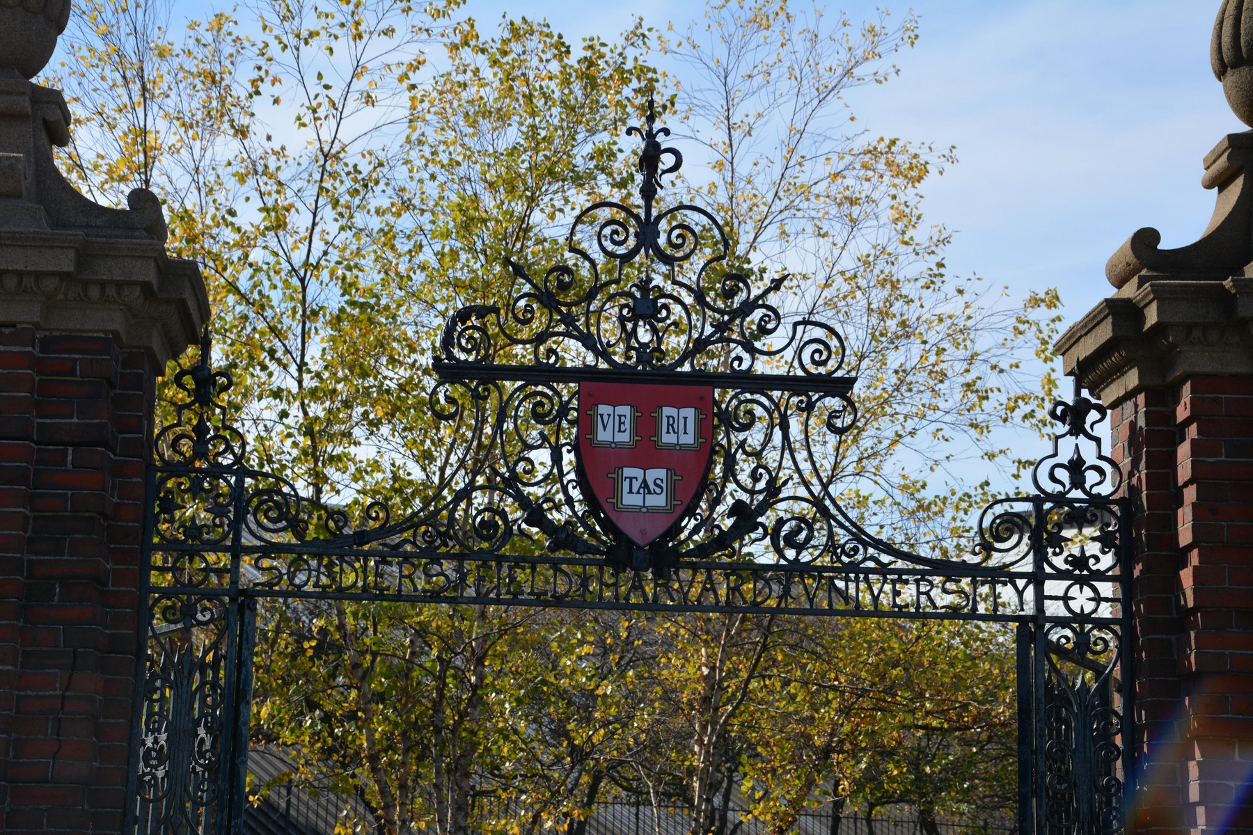 Universitățile de top din SUA, criticate pentru felul în care au gestionat antisemitismul. Președintei Harvard i se cere demisia