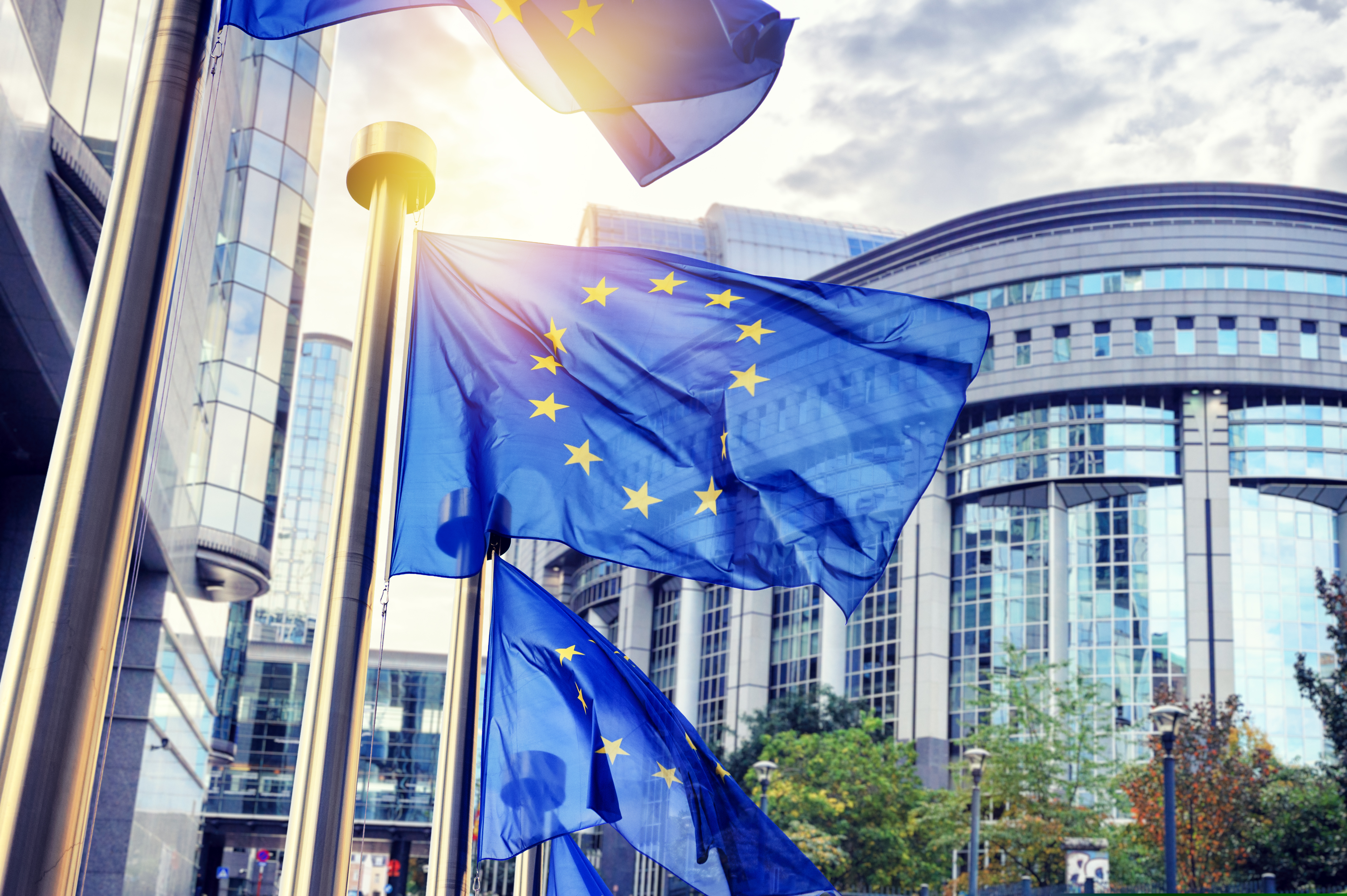 PE propune noi reguli pentru desemnarea candidaţilor cap de listă înaintea alegerilor europene: „Alegătorii au nevoie de claritate”