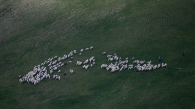 turma de oi pe deal