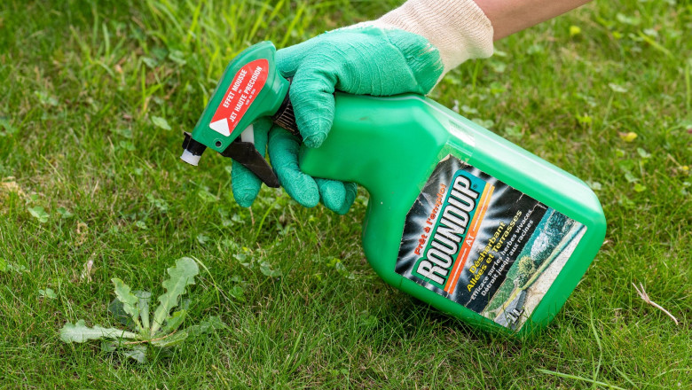 Paris, France - August 15, 2018 : Gardener using Roundup herbicide in a french garden. Roundup is a brand-name of an herbicide containing glyphosate,