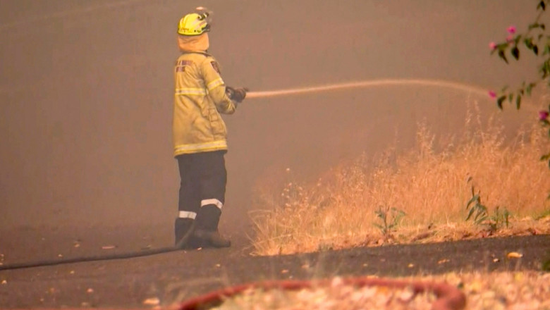 incendii de vegetatie in australia