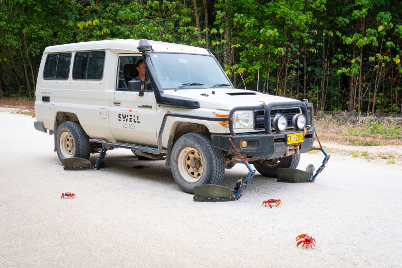 CRAB-OBSESSED PHOTOGRAPHER AND WIFE CREATE SAFE WAY OF TRAVELLING DURING SPECTACULAR ANNUAL MIGRATION - FITTING SHOES TO THE FRONT OF THEIR CAR