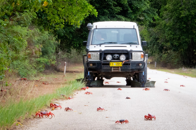 CRAB-OBSESSED PHOTOGRAPHER AND WIFE CREATE SAFE WAY OF TRAVELLING DURING SPECTACULAR ANNUAL MIGRATION - FITTING SHOES TO THE FRONT OF THEIR CAR