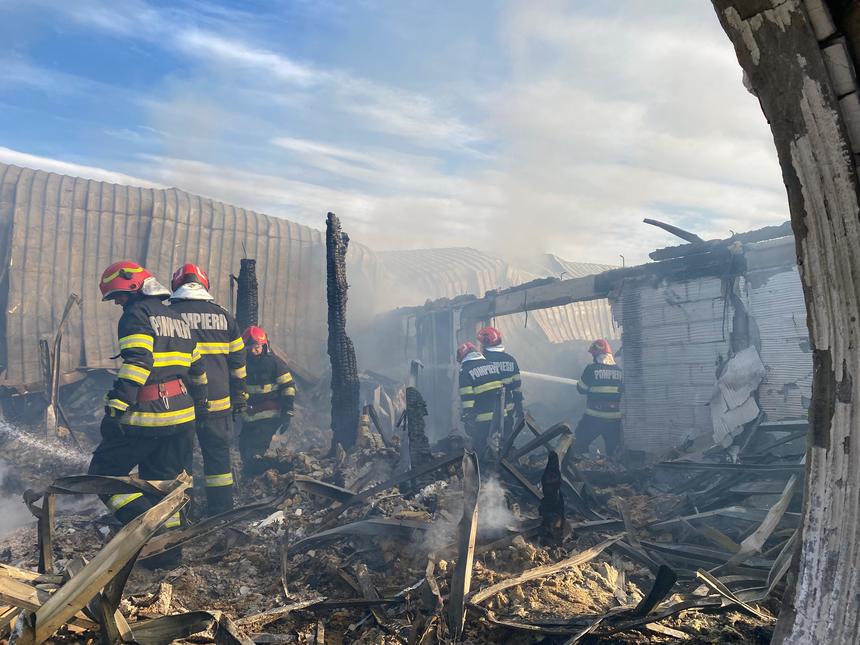 A opta victimă a incendiului de la Ferma Dacilor este fiul unui apropiat al patronului, și el decedat în incendiu
