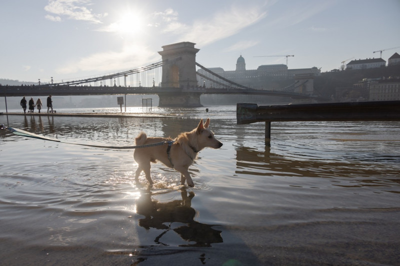 HUNGARY BUDAPEST DANUBE FLOODING