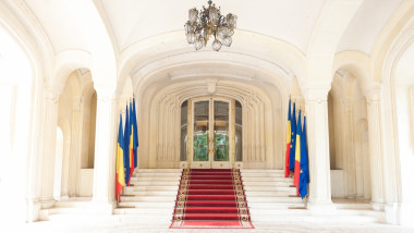 Intrarea în Palatul Cotroceni, Holul de Onoare, scari si civir rosu