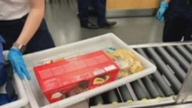 Un român a fost prins cu o cutie cu sarmale în bagaje, pe aeroportul din Toronto