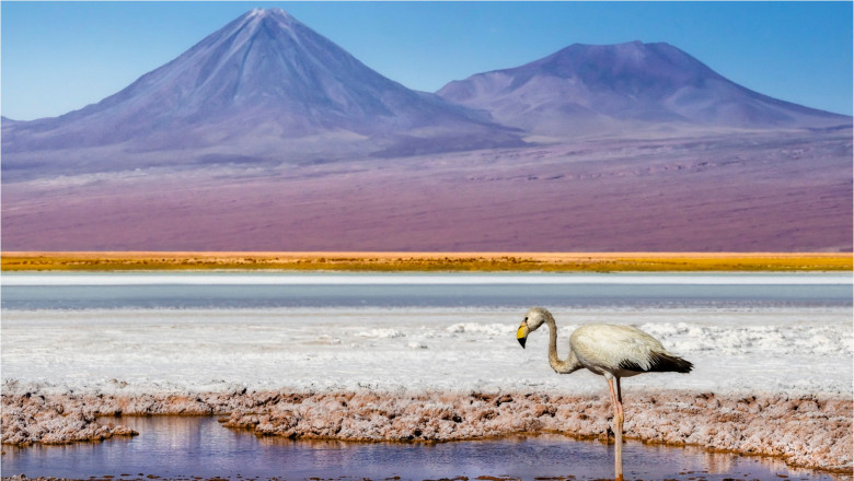 Peisaj în deșertul Atacama