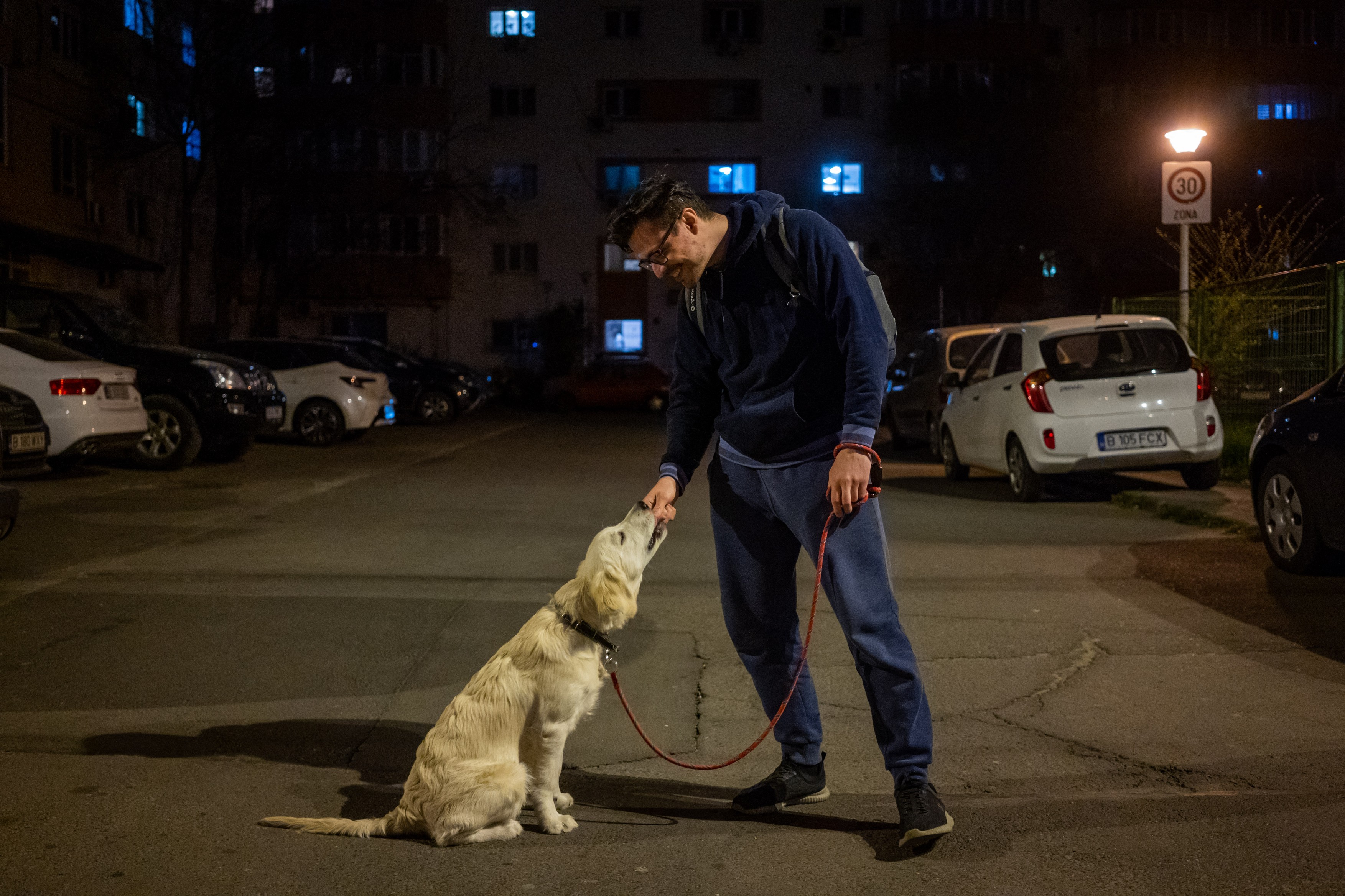 „A început nebunia pocnitorilor”. Ce trebuie să faceți ca să vă protejați animalele în noaptea de Revelion