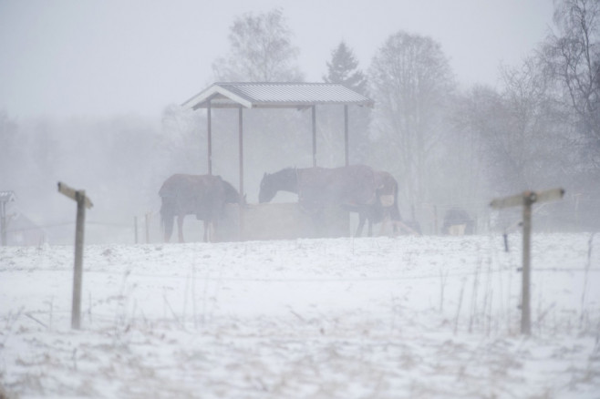 Seasonal weather, winter storm, Motala, Sweden - 03 Jan 2024