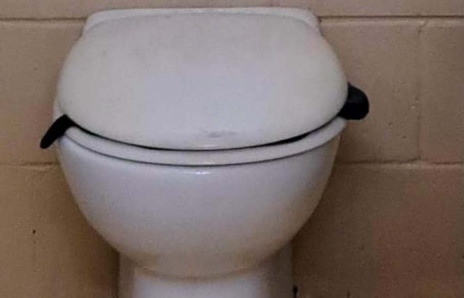 Un bărbat care a intrat într-o baie publică a zărit în ultimul moment un șarpe veninos adăpostit în vasul de toaletă