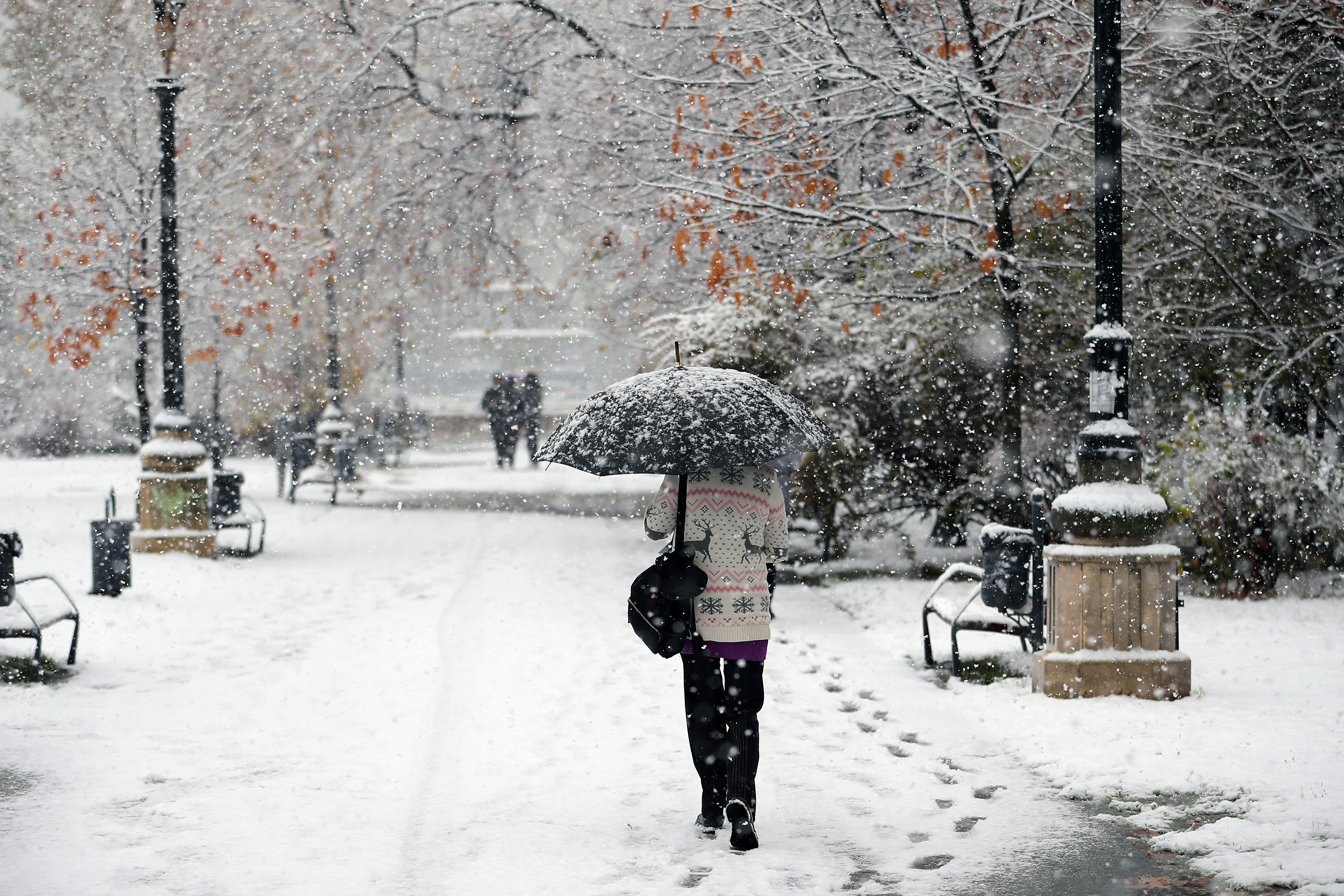 ANM a actualizat prognoza meteo: cod galben de ger și ninsori viscolite până marți. Harta zonelor afectate și vremea în Capitală