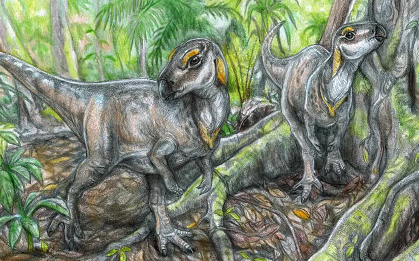 Fosile de dinozaur unice in lume, descoperite in Ţara Haţegului. Oasele „permit o reconstituire fidela a morfologiei animalului”