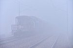 Dense Fog, Cold Waves Continues To Tighten Grip Over Delhi-NCR, New DElhi, India - 14 Jan 2024