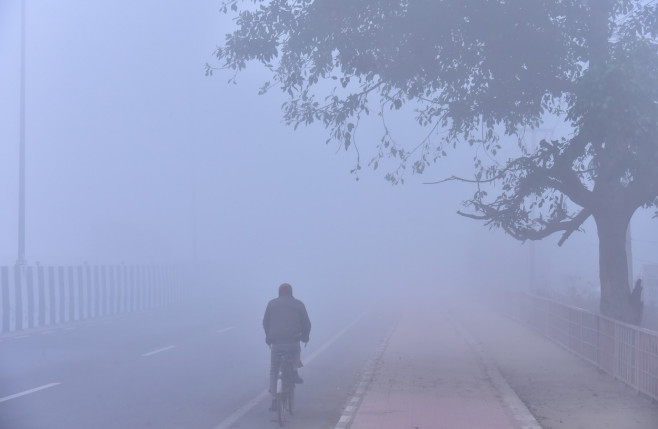 Dense Fog, Cold Waves Continues To Tighten Grip Over Delhi-NCR, New DElhi, India - 14 Jan 2024