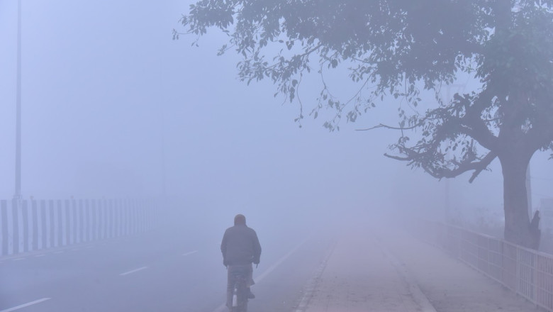 Dense Fog, Cold Waves Continues To Tighten Grip Over Delhi-NCR, New DElhi, India - 14 Jan 2024