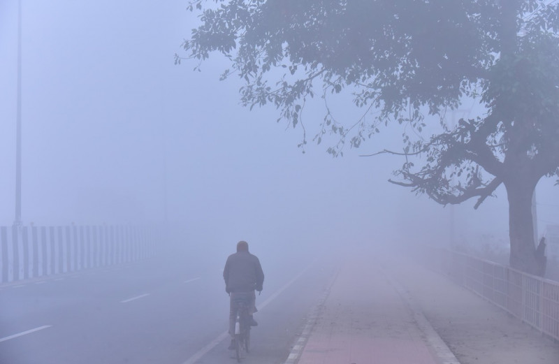 Dense Fog, Cold Waves Continues To Tighten Grip Over Delhi-NCR, New DElhi, India - 14 Jan 2024