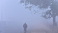 Dense Fog, Cold Waves Continues To Tighten Grip Over Delhi-NCR, New DElhi, India - 14 Jan 2024