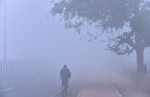 Dense Fog, Cold Waves Continues To Tighten Grip Over Delhi-NCR, New DElhi, India - 14 Jan 2024