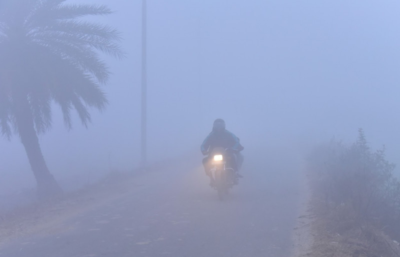 Dense Fog, Cold Waves Continues To Tighten Grip Over Delhi-NCR, New DElhi, India - 14 Jan 2024