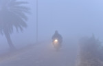 Dense Fog, Cold Waves Continues To Tighten Grip Over Delhi-NCR, New DElhi, India - 14 Jan 2024