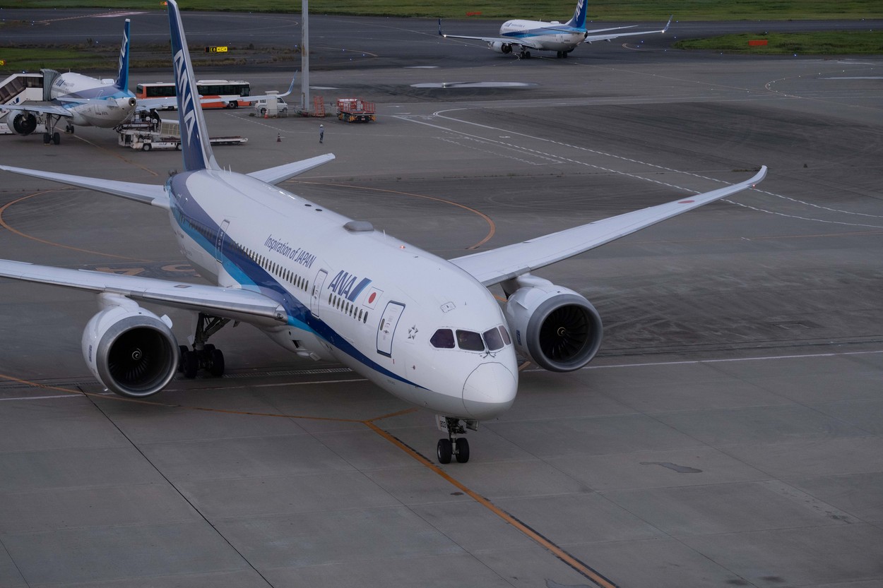 Avion întors din zbor după ce un bărbat a mușcat o stewardesă