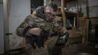 Un militar ucrainean mângâie o pisică neagră într-un buncăr pe linia frontului de la Avdiivka